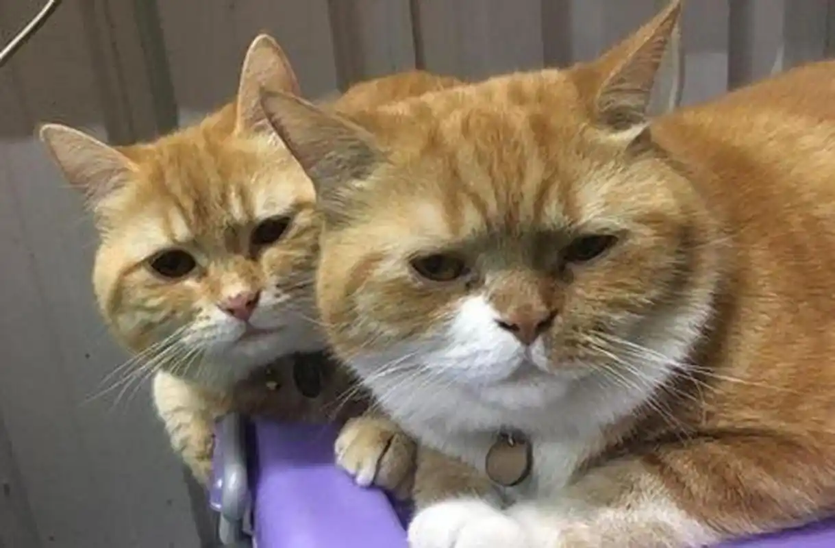 明明可以靠颜值,偏偏要工作.我不知道明明是谁,反正我是偏偏.