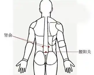 的准确位置图腰阳关穴位的准确位置图寻找方法:俯卧,腰阳关穴位于腰部