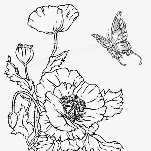 蝴蝶古风简笔画