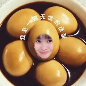 我是一颗卤蛋头像