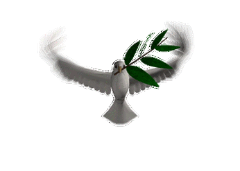 【转载】【gif-动图】—音画制作必备(动物素材-03)