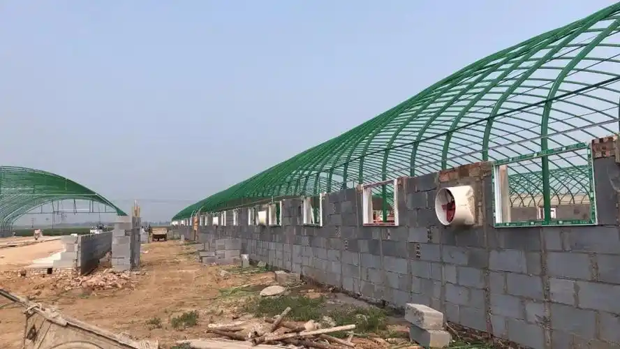 图说大棚猪舍的建设