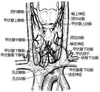 69,甲状腺次全切除术_daily notes_百度空间