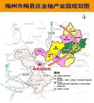 梅县区金柚产业园:"柚"见丰收年!