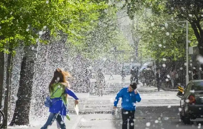 随着气温的升高,杨柳树产生的杨柳絮也开始漫天飞舞,好似满天的雪花