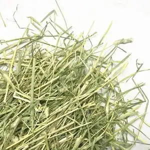 64阳楠旗舤店淘宝2022新草兔草提摩西草干草兔子龙猫草粮豚鼠粮