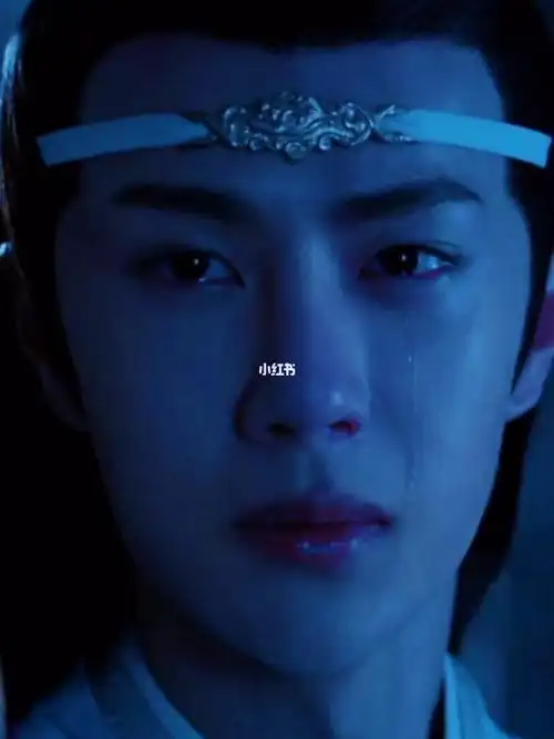 剪了一段特写蓝湛神仙落泪这一段73特别喜欢