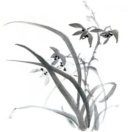 jpeg格式绘画艺术水墨兰花