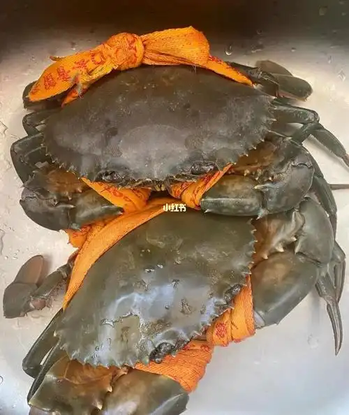 今天又卖完500斤青蟹感谢05小红书家人们