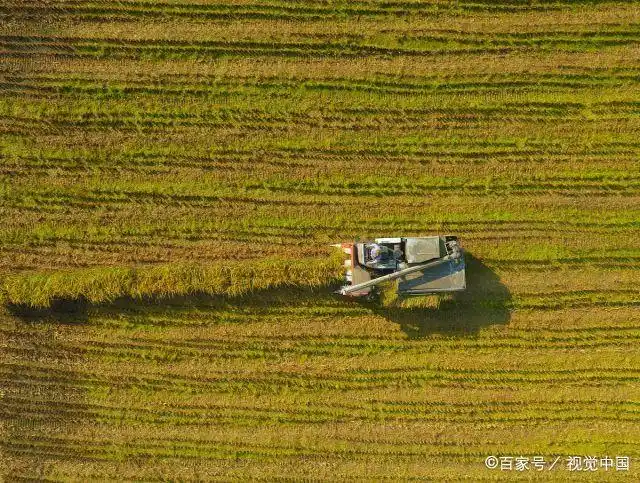实拍秋天田野美景:这里才是最美的地方,秋季农村游玩值得推荐