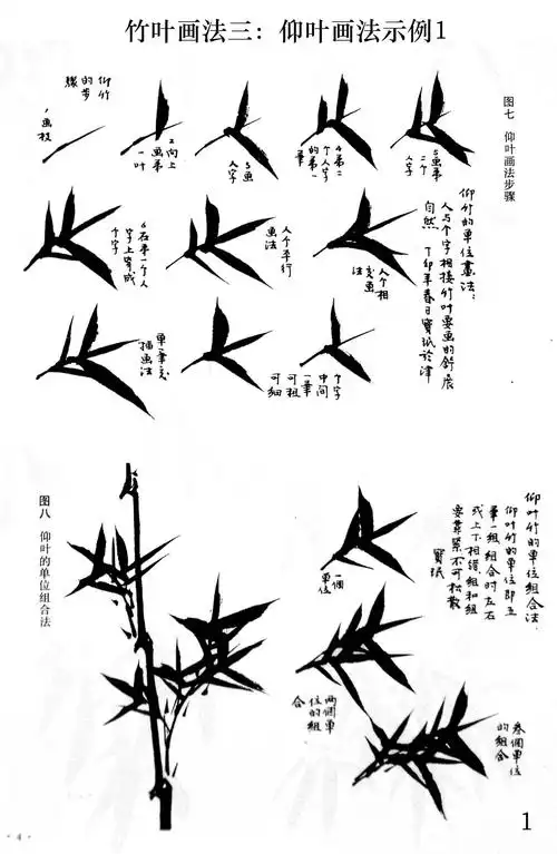20200301董老师教学竹子画法