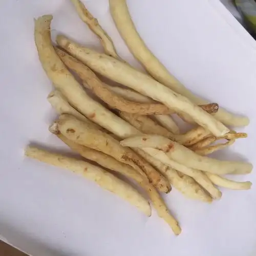 小根炖补四川金堂明沙参川明参沙参1000g