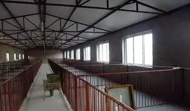 农村小型养猪场设计最低成本科学养猪简易猪栏猪舍建造图