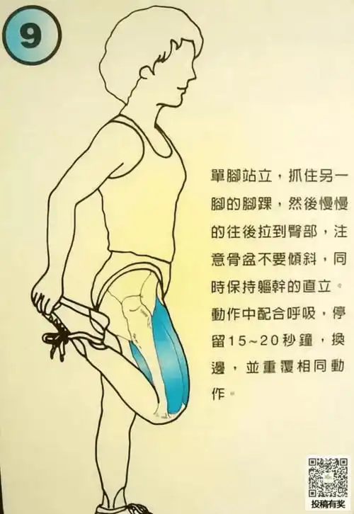 基本分为弹性拉伸和静止拉伸,这两种拉伸也是最基础的,让我们一起来