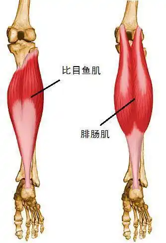 跟腱周围炎的针刀三点治疗_小腿