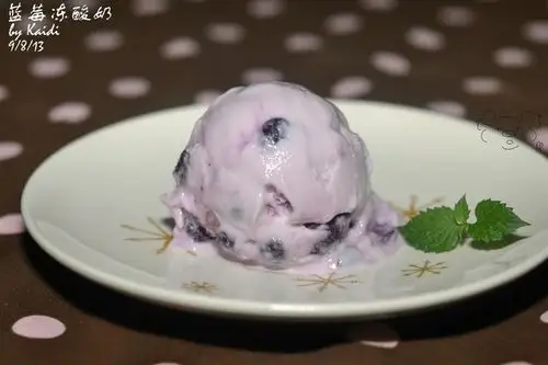 蓝莓冻酸奶frozenyogurt