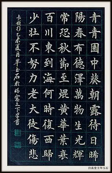 《长歌行》汉代古诗原文阅读翻译赏析