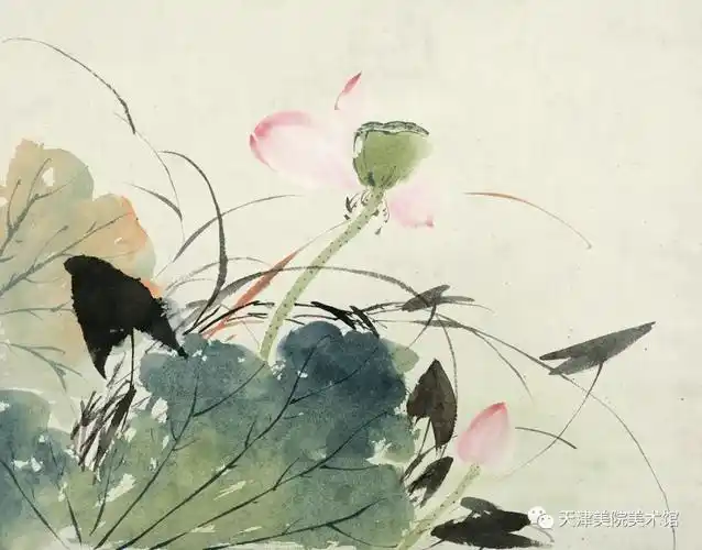 写意荷花小品尺寸:31cm×40cm创作时间:约 20 世纪 60 年代(孙其峰