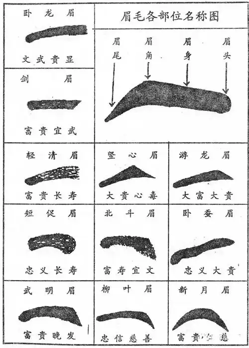 面相论眉毛凶相