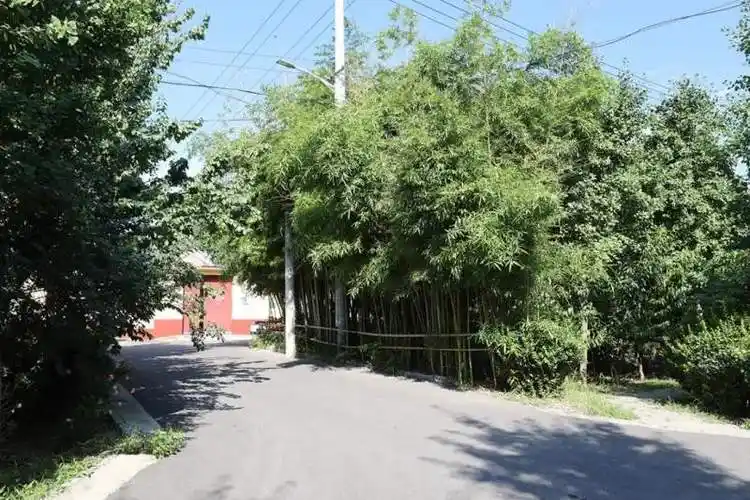 顺义区农村人居环境整治综合考评再获佳绩>北京顺义>2024-08-061548>