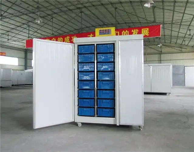 长沙花生芽机花生芽机价格四季阳光机械商家