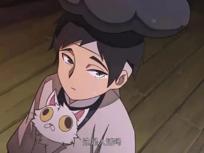 大理寺最惨的猫可能不是李饼09