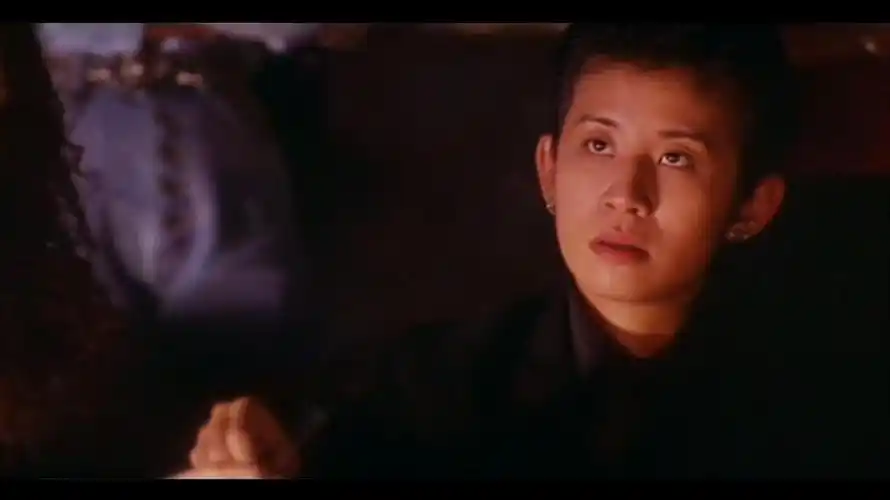 古惑仔情义篇之洪兴十三妹