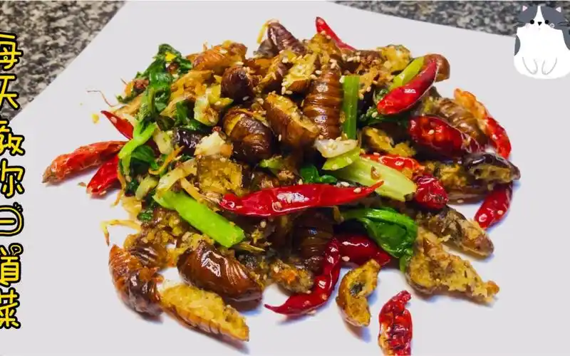 【干煸蚕蛹】典型东北菜,晾凉都是用雪的~_哔哩哔哩 (゜-゜)つロ 干杯