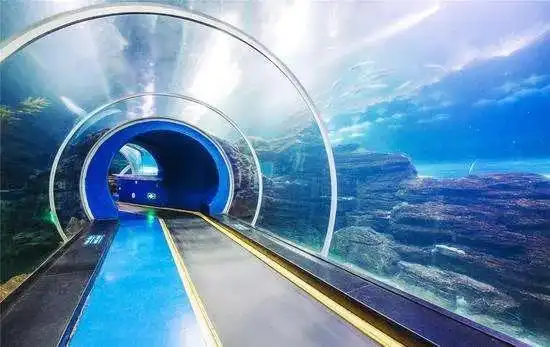 北京游客穿羽绒服开敞篷车去青岛看透明的海底隧道别笑人家