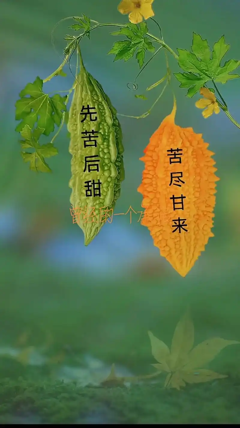 命由己造,相由心生,世间万物皆有化相,心不动,万物皆不动,心 - 抖音