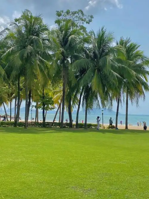 大海是不完整的    三亚真的随便拍一拍都美,比较推荐的景点椰梦长廊