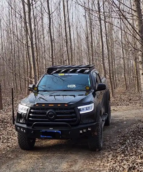 在问的改装能不能备案安排#长城炮改装  #女司机  #备案  #皮卡改装