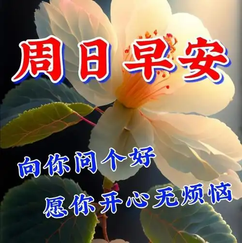 周日早上好温馨暖心早安祝福图片语问候语