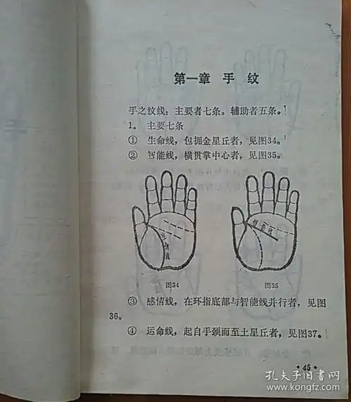手相学图解
