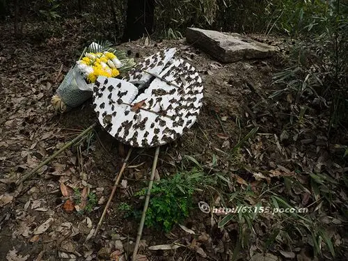 标题:探访戴笠墓