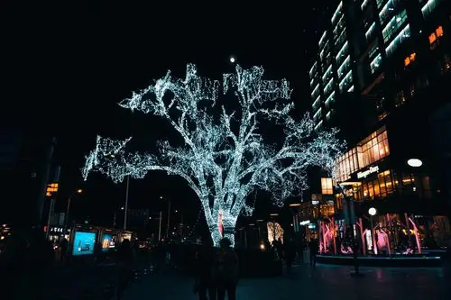 五道口的夜和月