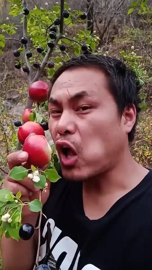 大叔吃李子,看这表情真酸啊