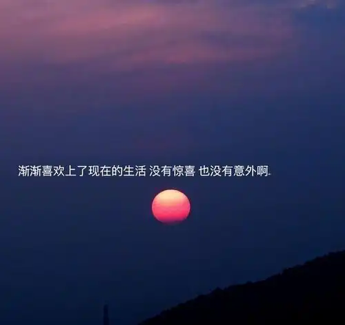 你是我心甘情愿的一场遗憾.