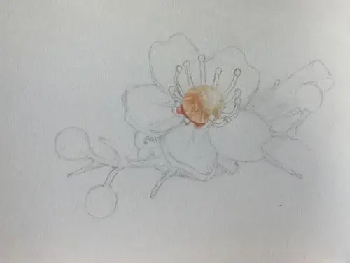 一枝梨花压海棠彩铅头饰原创教程