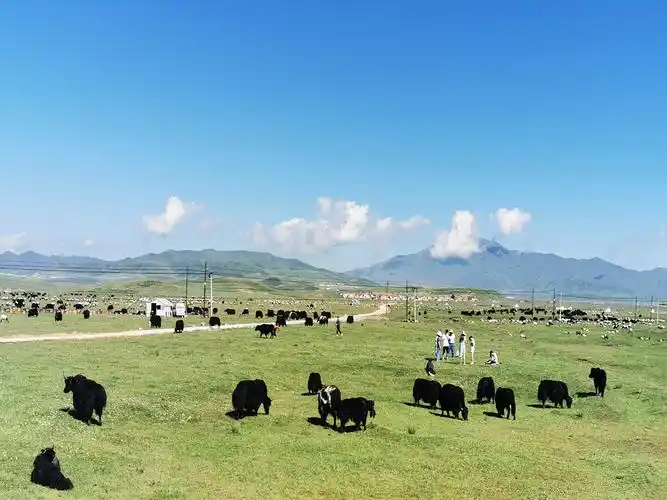 西行漫记(七)— 夏河