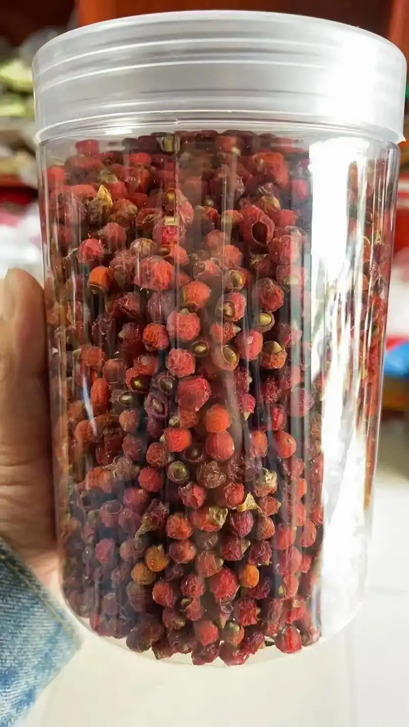 粤北生野红豆杉果.粤北生野红豆杉果:防癌抗癌,血降糖,降血压 - 抖音