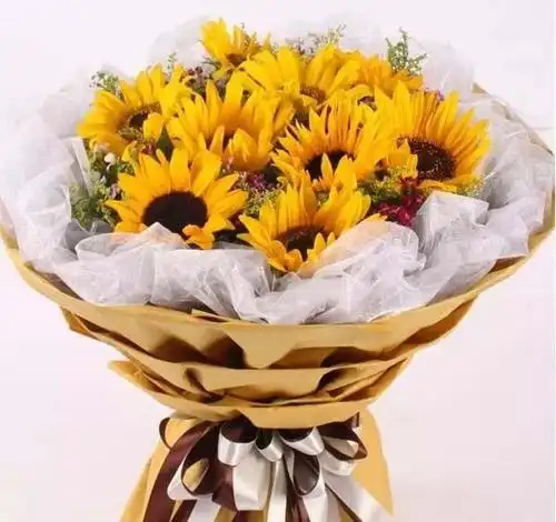 向日葵花语大全