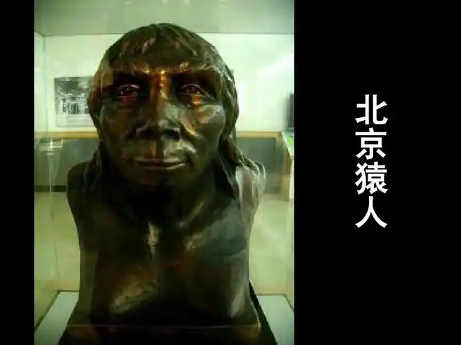 原始人的创造-第一课时ppt