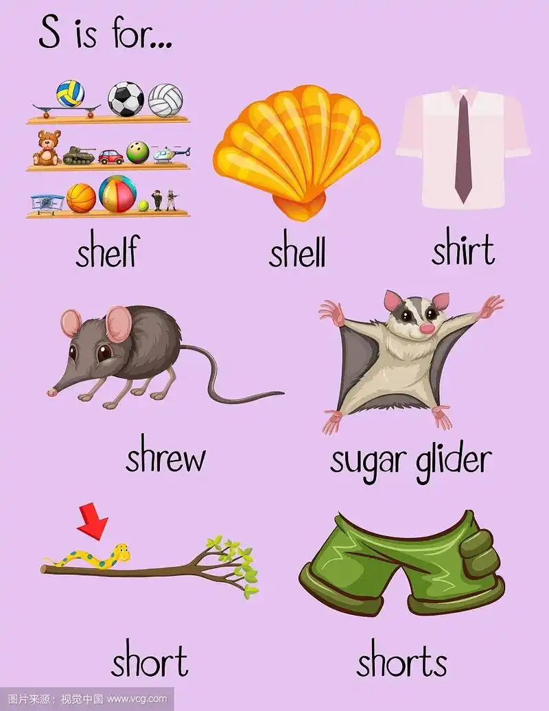 许多单词以字母s开头