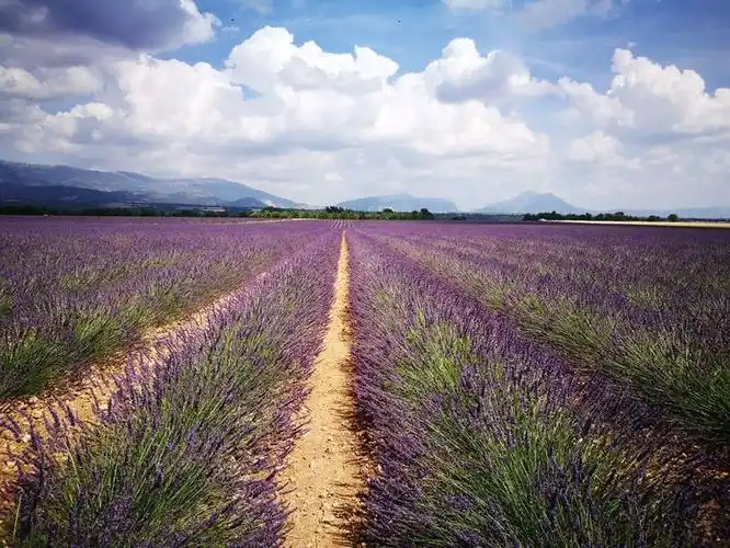 晚餐是咋晚订好的newground,今天有特色活动,可以点