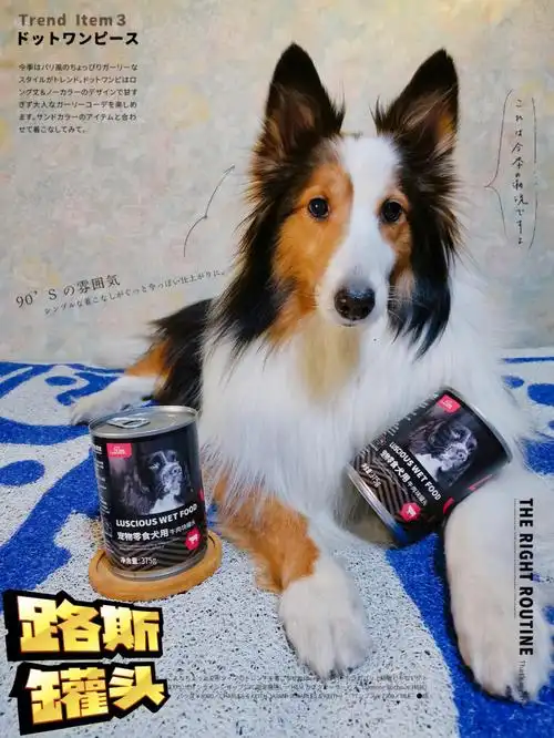 养宠好物推荐大块肉肉吃得香路斯狗罐头