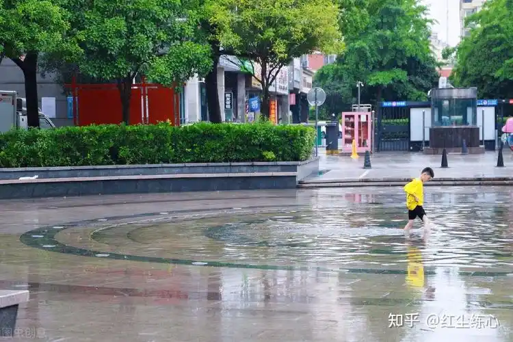 清晨的大雨让我们不得不面对生活的挑战
