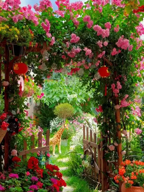 丽江古城里的爱丽丝梦游仙境花园观景客栈