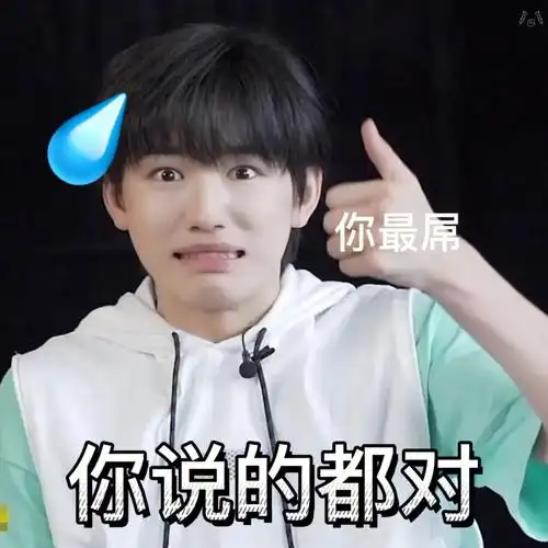 时代少年团表情包第十一04