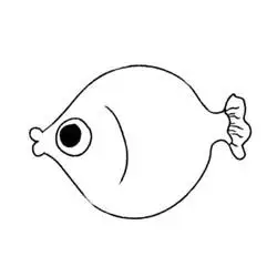 接吻鱼,图片,简笔画-学笔画